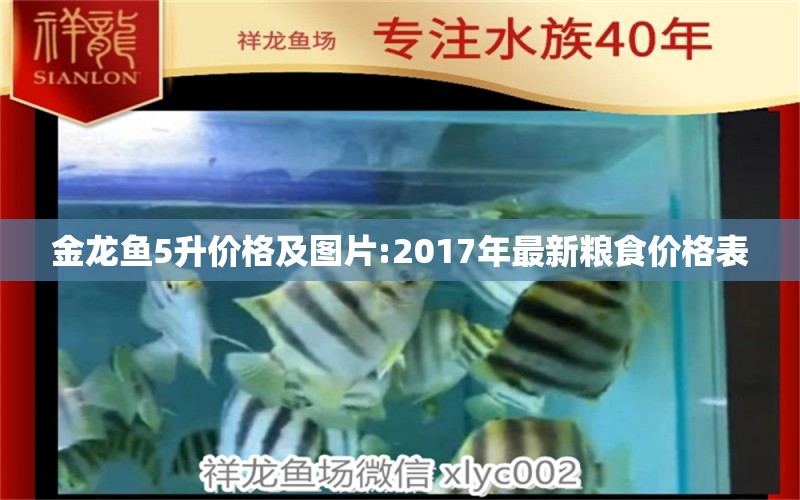 金龍魚5升價格及圖片:2017年最新糧食價格表