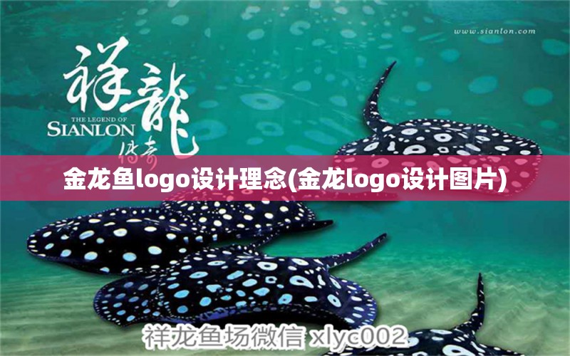 金龍魚logo設(shè)計理念(金龍logo設(shè)計圖片)