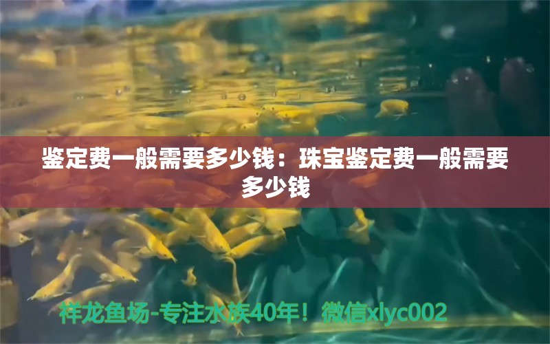 鑒定費一般需要多少錢：珠寶鑒定費一般需要多少錢