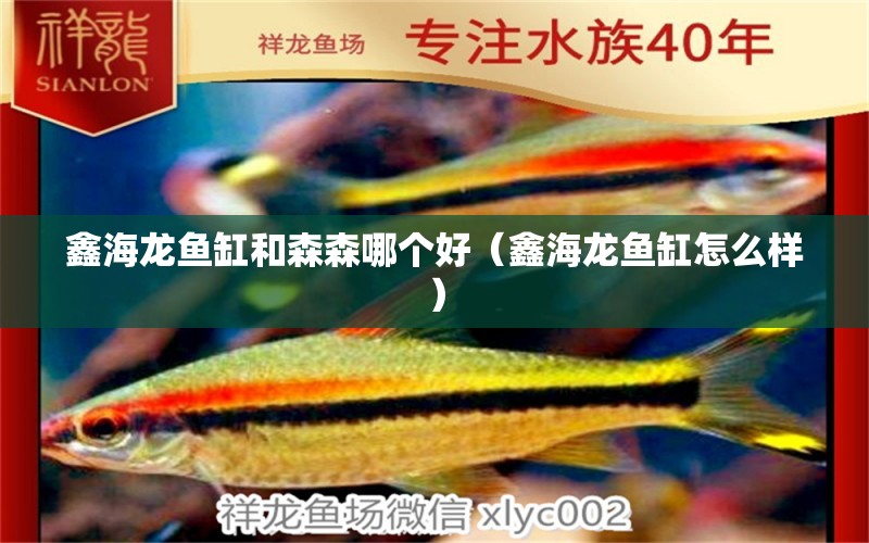 鑫海龍魚缸和森森哪個(gè)好（鑫海龍魚缸怎么樣） 祥龍水族醫(yī)院