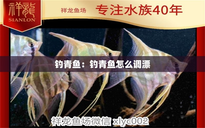 釣青魚(yú)：釣青魚(yú)怎么調(diào)漂 垂釣樂(lè)園