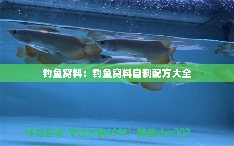 釣魚窩料：釣魚窩料自制配方大全