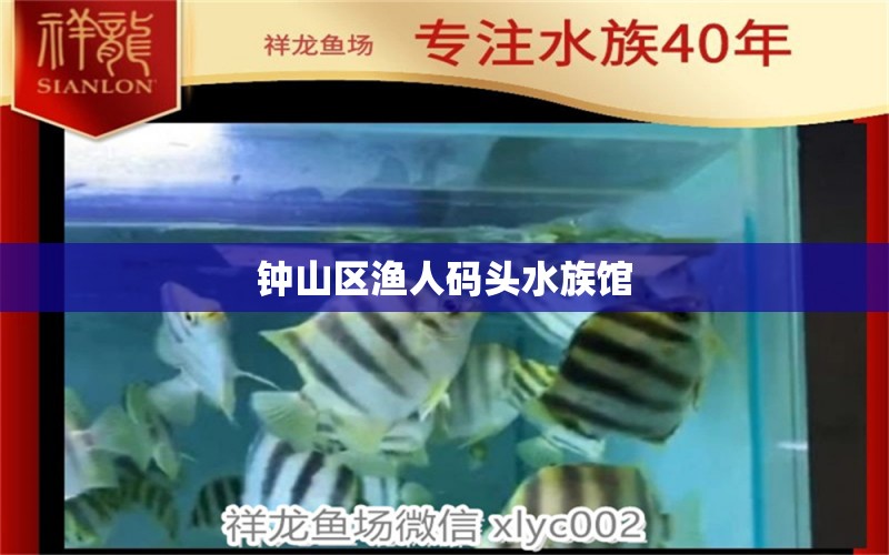 鐘山區(qū)漁人碼頭水族館 全國水族館企業(yè)名錄