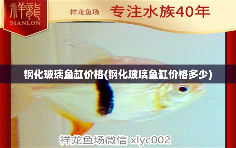 鋼化玻璃魚缸價格(鋼化玻璃魚缸價格多少) 魚缸/水族箱