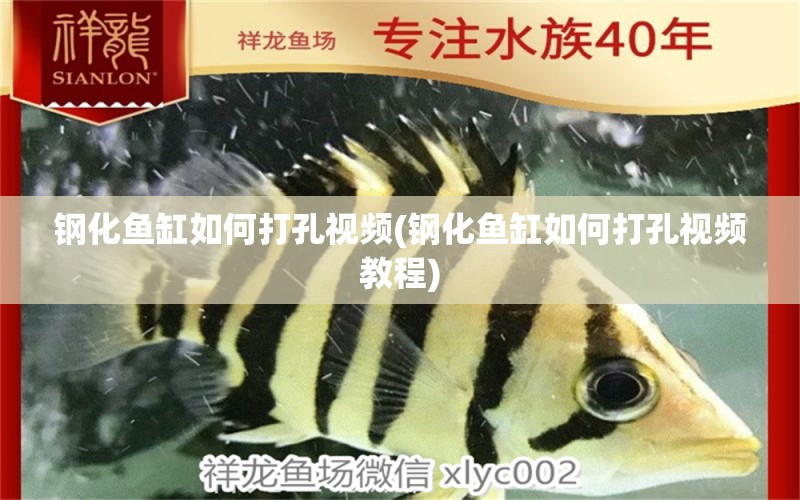 鋼化魚(yú)缸如何打孔視頻(鋼化魚(yú)缸如何打孔視頻教程) 黑桃A魚(yú)