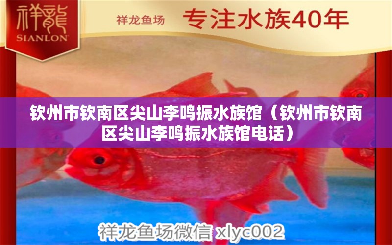 欽州市欽南區(qū)尖山李鳴振水族館（欽州市欽南區(qū)尖山李鳴振水族館電話）