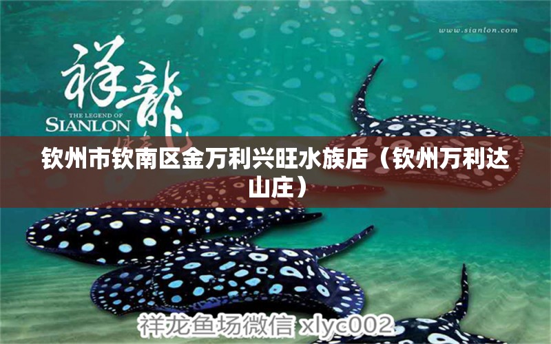 欽州市欽南區(qū)金萬利興旺水族店（欽州萬利達山莊）