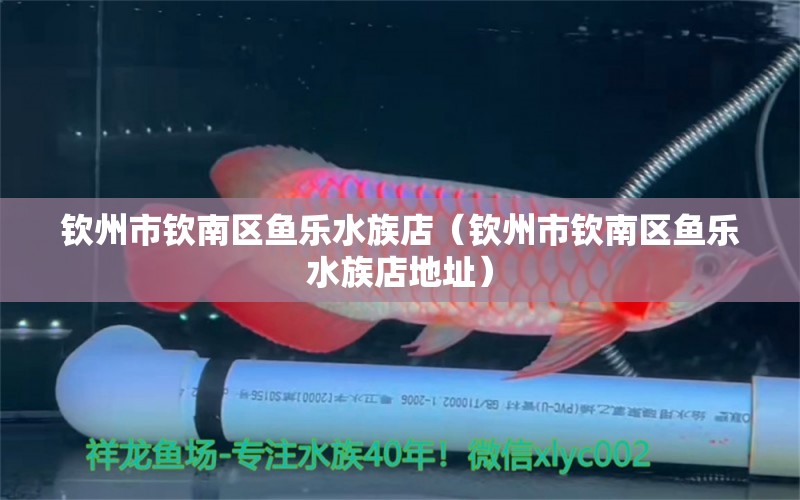 欽州市欽南區(qū)魚樂水族店（欽州市欽南區(qū)魚樂水族店地址）