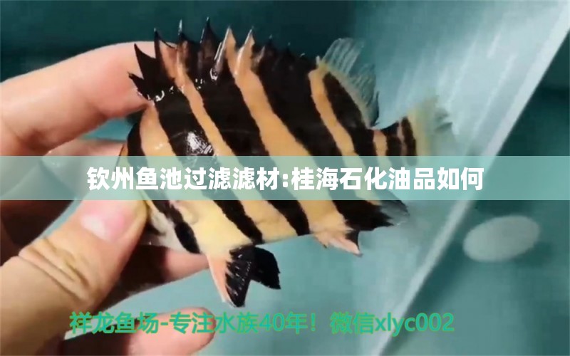 欽州魚池過濾濾材:桂海石化油品如何 廣州水族器材濾材批發(fā)市場(chǎng)