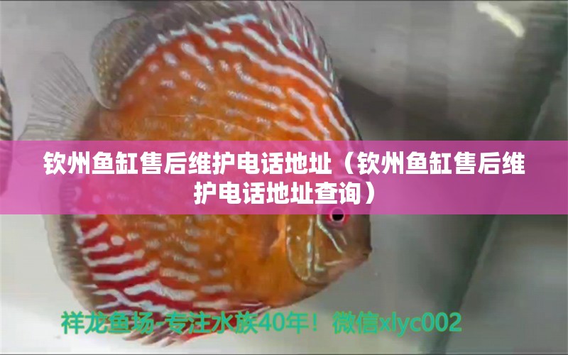 欽州魚缸售后維護電話地址（欽州魚缸售后維護電話地址查詢） 其他品牌魚缸