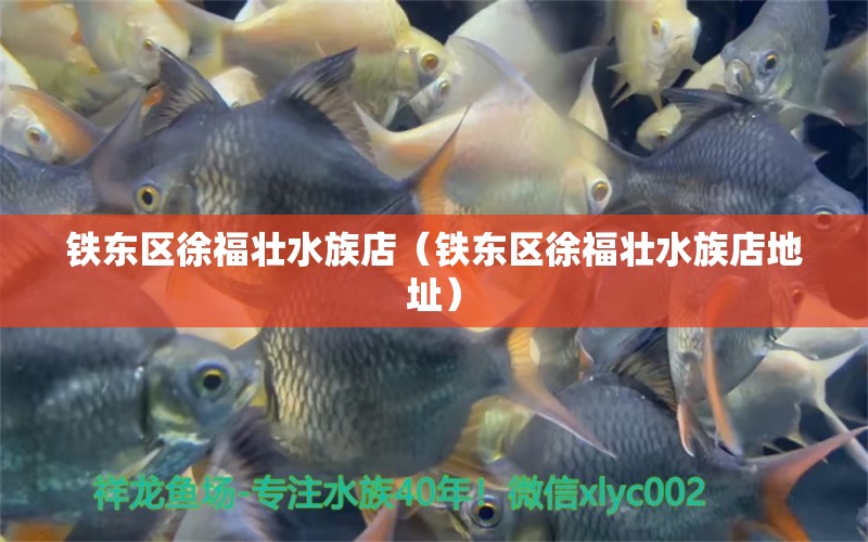 鐵東區(qū)徐福壯水族店（鐵東區(qū)徐福壯水族店地址）