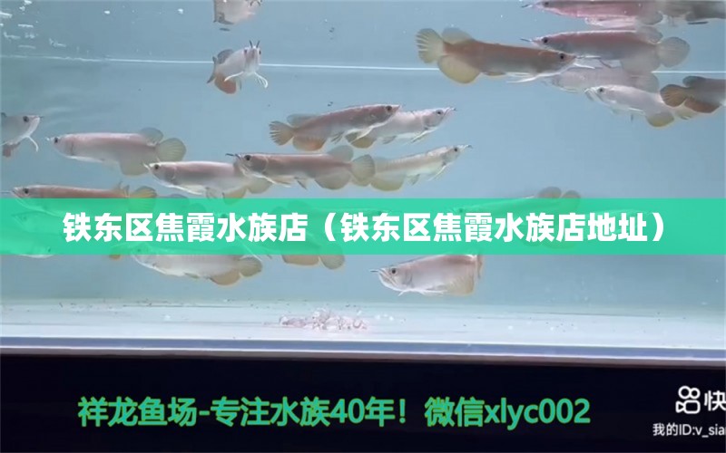 鐵東區(qū)焦霞水族店（鐵東區(qū)焦霞水族店地址） 全國水族館企業(yè)名錄