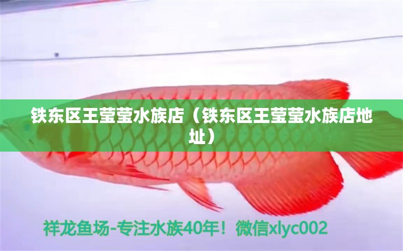 鐵東區(qū)王瑩瑩水族店（鐵東區(qū)王瑩瑩水族店地址）