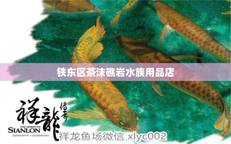 鐵東區(qū)茶沫礁巖水族用品店