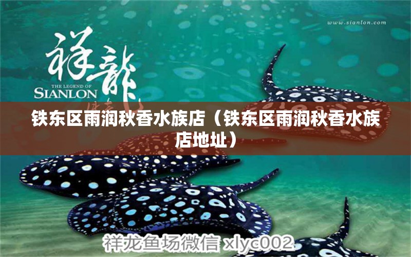 鐵東區(qū)雨潤秋香水族店（鐵東區(qū)雨潤秋香水族店地址）