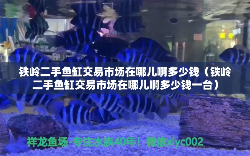 鐵嶺二手魚缸交易市場在哪兒啊多少錢（鐵嶺二手魚缸交易市場在哪兒啊多少錢一臺(tái)）