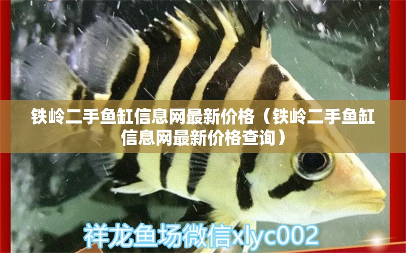 鐵嶺二手魚缸信息網(wǎng)最新價格（鐵嶺二手魚缸信息網(wǎng)最新價格查詢） 文玩