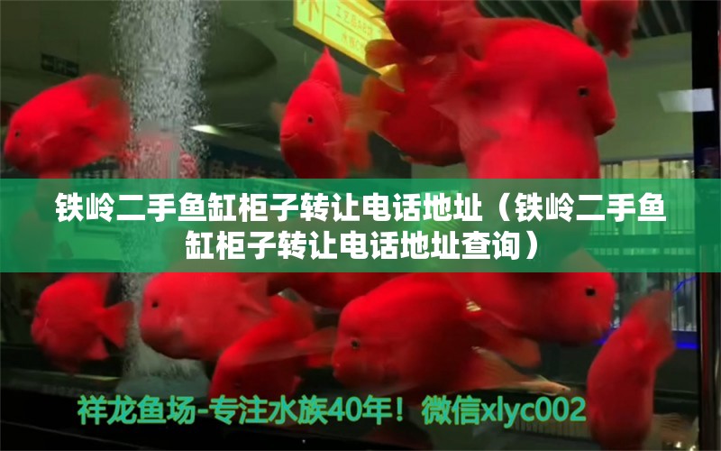 鐵嶺二手魚缸柜子轉(zhuǎn)讓電話地址（鐵嶺二手魚缸柜子轉(zhuǎn)讓電話地址查詢）