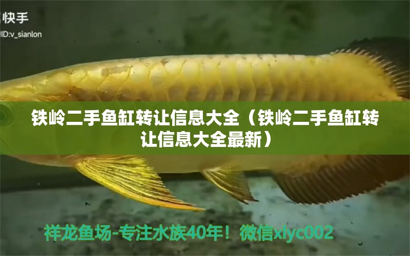 鐵嶺二手魚(yú)缸轉(zhuǎn)讓信息大全（鐵嶺二手魚(yú)缸轉(zhuǎn)讓信息大全最新） 元寶鳳凰魚(yú)