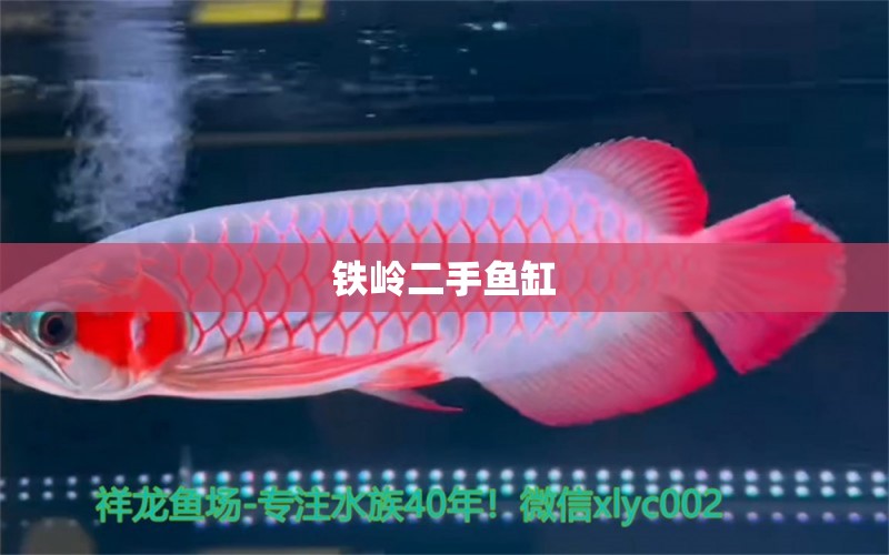 鐵嶺二手魚缸