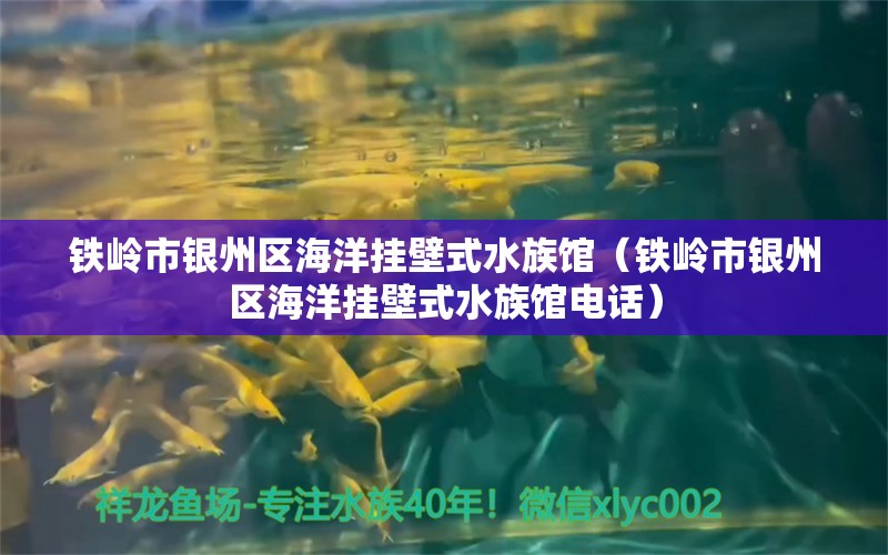 鐵嶺市銀州區(qū)海洋掛壁式水族館（鐵嶺市銀州區(qū)海洋掛壁式水族館電話）