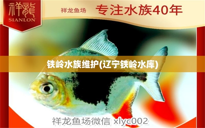 鐵嶺水族維護(hù)(遼寧鐵嶺水庫(kù))