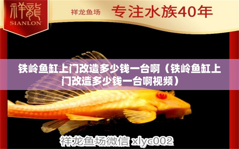 鐵嶺魚缸上門改造多少錢一臺啊（鐵嶺魚缸上門改造多少錢一臺啊視頻）