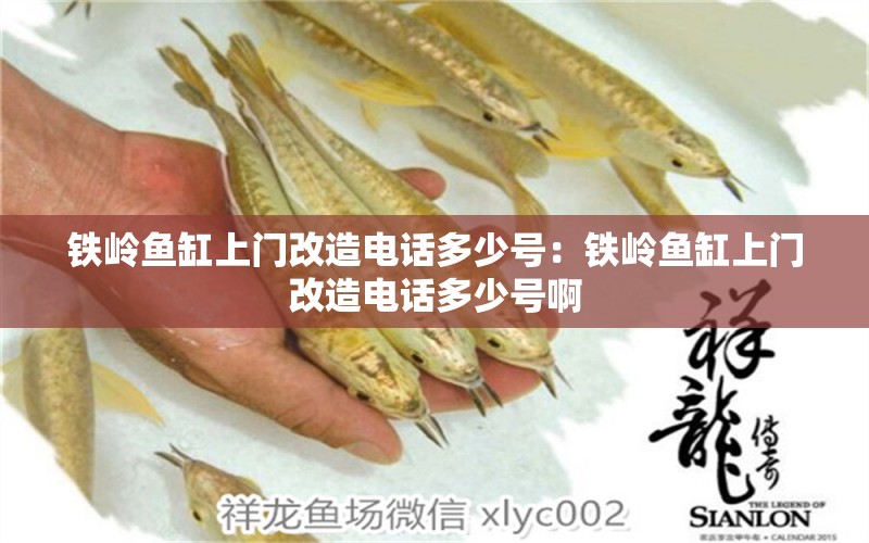 鐵嶺魚缸上門改造電話多少號(hào)：鐵嶺魚缸上門改造電話多少號(hào)啊