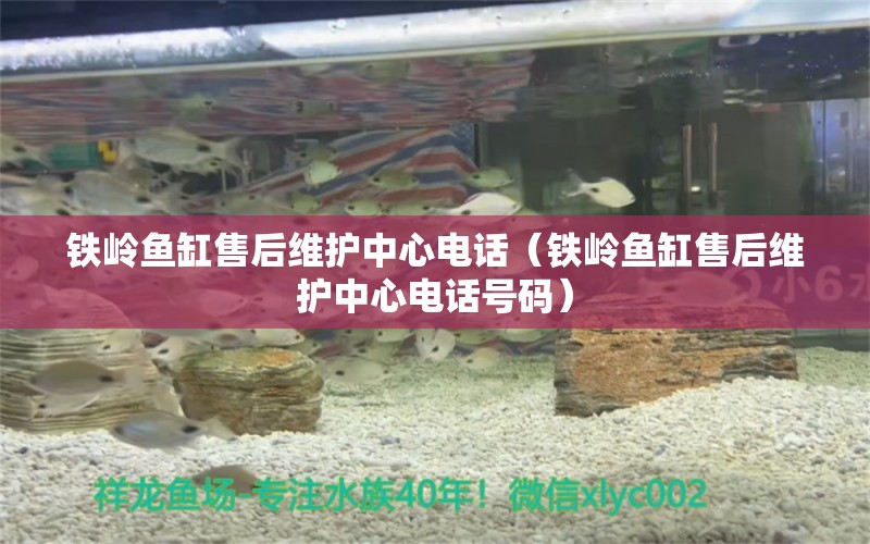 鐵嶺魚缸售后維護(hù)中心電話（鐵嶺魚缸售后維護(hù)中心電話號(hào)碼） 其他品牌魚缸