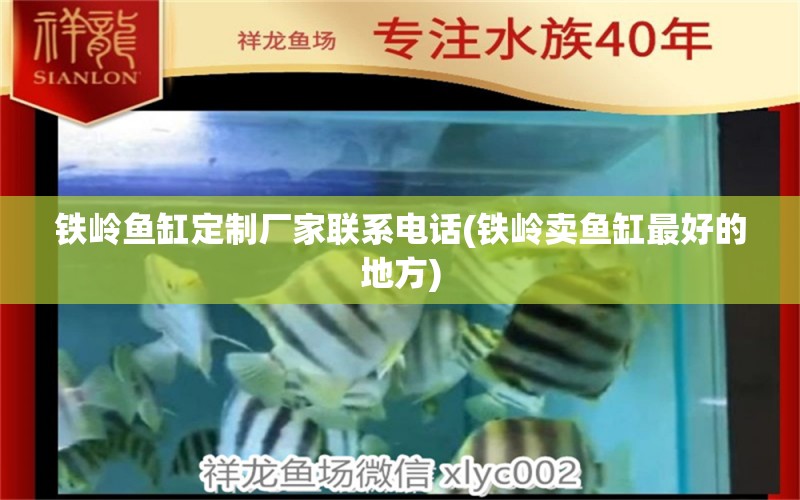 鐵嶺魚缸定制廠家聯系電話(鐵嶺賣魚缸最好的地方) 觀賞魚進出口