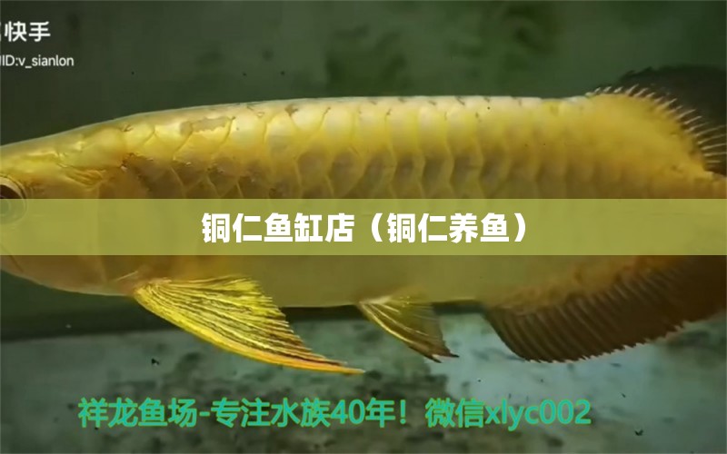 銅仁魚(yú)缸店（銅仁養(yǎng)魚(yú)）