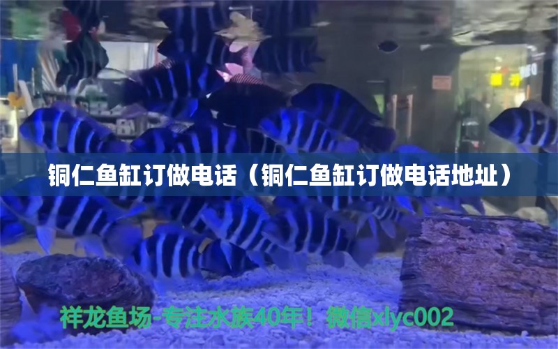 銅仁魚(yú)缸訂做電話（銅仁魚(yú)缸訂做電話地址）