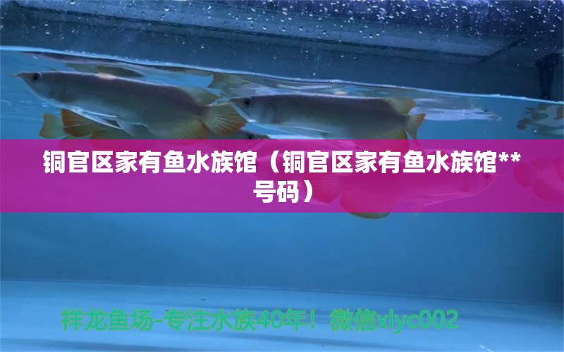 銅官區(qū)家有魚水族館（銅官區(qū)家有魚水族館**號(hào)碼） 全國水族館企業(yè)名錄