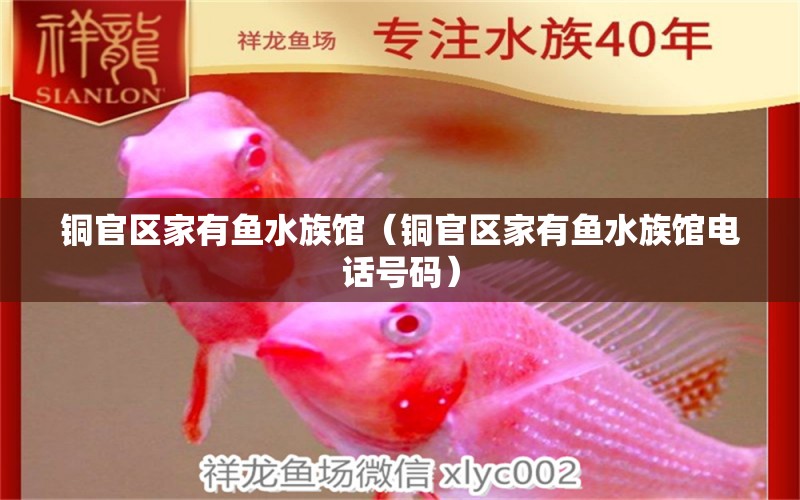 銅官區(qū)家有魚水族館（銅官區(qū)家有魚水族館電話號碼）