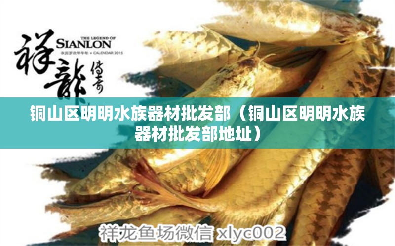 銅山區(qū)明明水族器材批發(fā)部（銅山區(qū)明明水族器材批發(fā)部地址） 全國水族館企業(yè)名錄