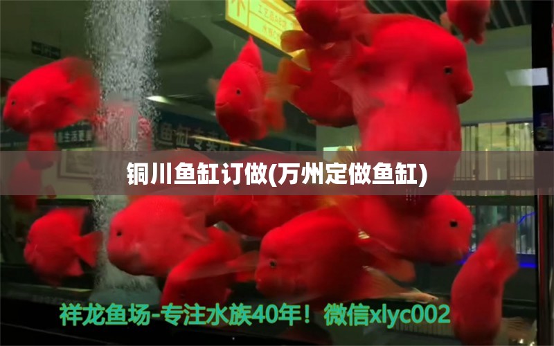 銅川魚缸訂做(萬州定做魚缸) 水溫計