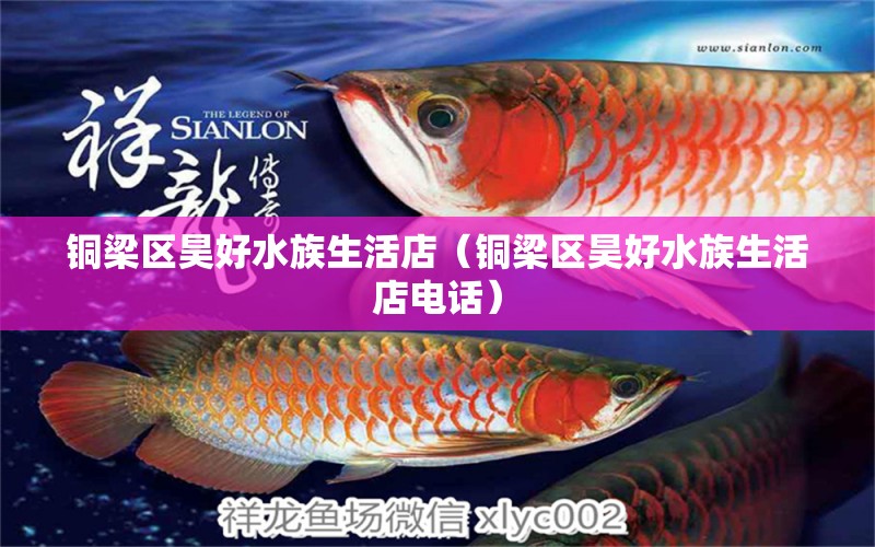 銅梁區(qū)昊好水族生活店（銅梁區(qū)昊好水族生活店電話）