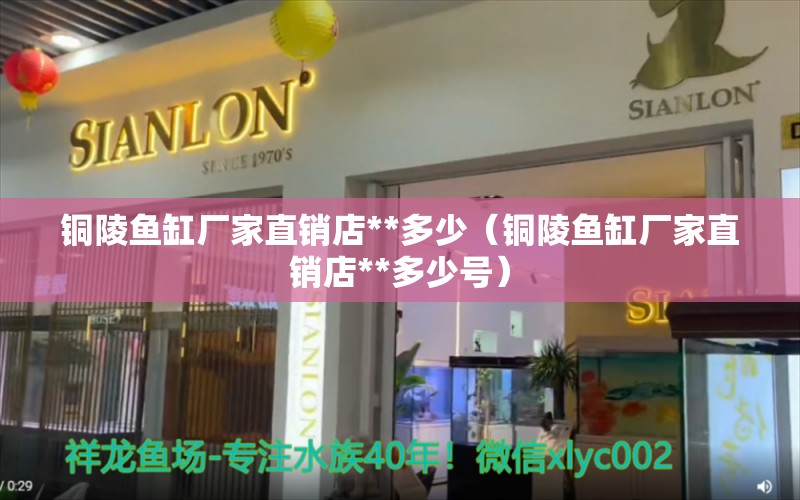 銅陵魚缸廠家直銷店**多少（銅陵魚缸廠家直銷店**多少號）