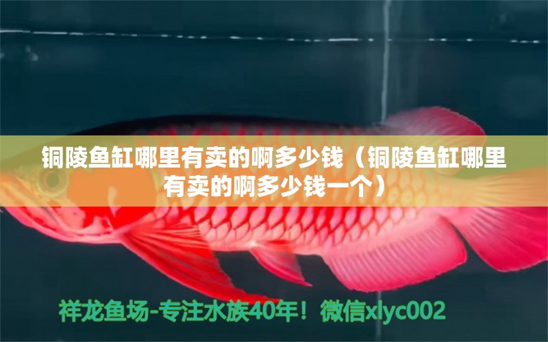 銅陵魚(yú)缸哪里有賣(mài)的啊多少錢(qián)（銅陵魚(yú)缸哪里有賣(mài)的啊多少錢(qián)一個(gè)）