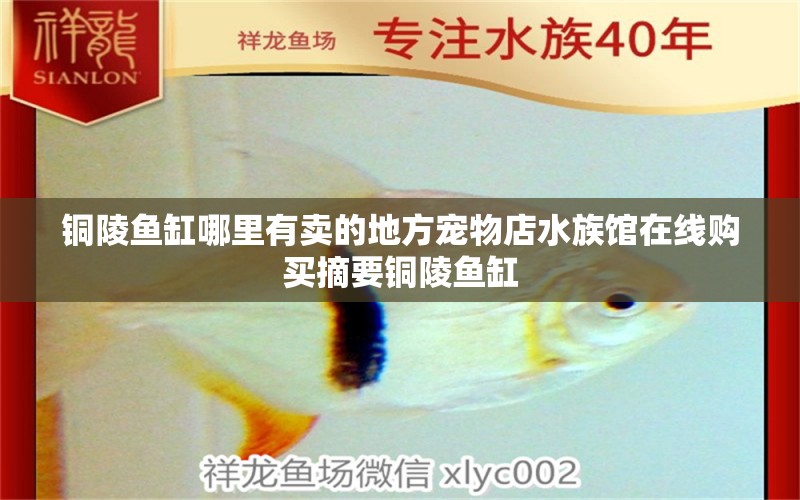 銅陵魚缸哪里有賣的地方寵物店水族館在線購買摘要銅陵魚缸