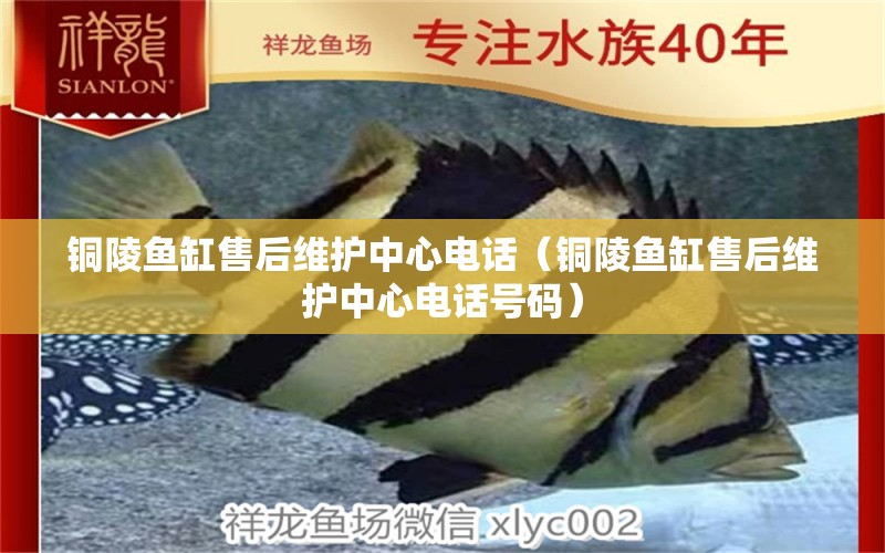 銅陵魚(yú)缸售后維護(hù)中心電話(huà)（銅陵魚(yú)缸售后維護(hù)中心電話(huà)號(hào)碼）