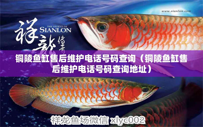 銅陵魚(yú)缸售后維護(hù)電話(huà)號(hào)碼查詢(xún)（銅陵魚(yú)缸售后維護(hù)電話(huà)號(hào)碼查詢(xún)地址）