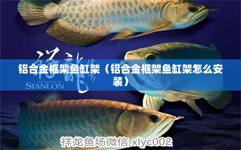 鋁合金框架魚缸架（鋁合金框架魚缸架怎么安裝） 觀賞魚水族批發(fā)市場(chǎng)