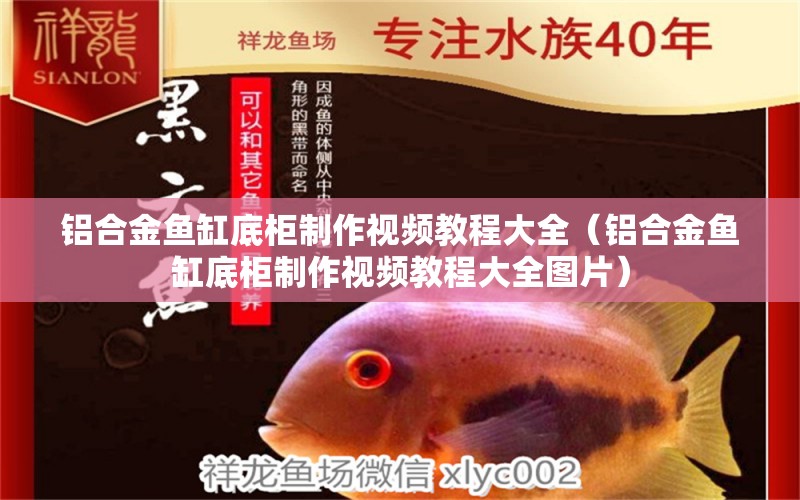 鋁合金魚缸底柜制作視頻教程大全（鋁合金魚缸底柜制作視頻教程大全圖片）