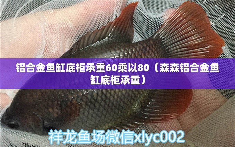 鋁合金魚缸底柜承重60乘以80（森森鋁合金魚缸底柜承重）