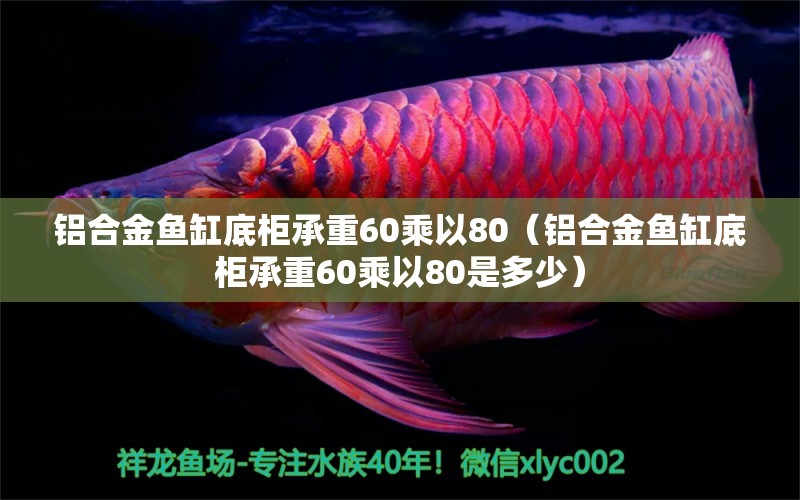 鋁合金魚缸底柜承重60乘以80（鋁合金魚缸底柜承重60乘以80是多少）