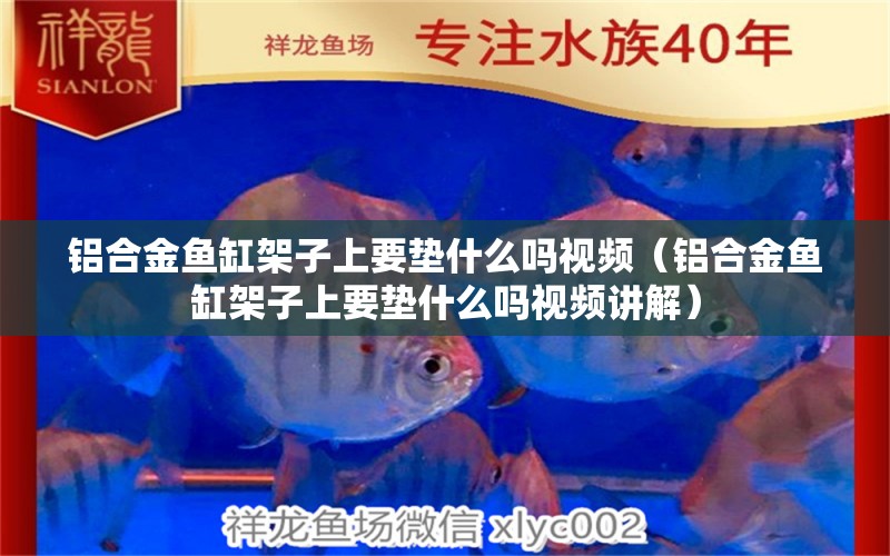 鋁合金魚缸架子上要墊什么嗎視頻（鋁合金魚缸架子上要墊什么嗎視頻講解）