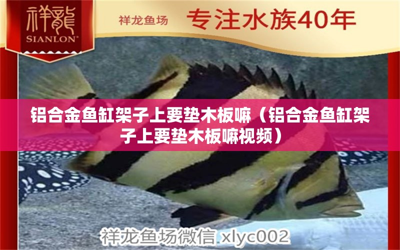 鋁合金魚缸架子上要墊木板嘛（鋁合金魚缸架子上要墊木板嘛視頻）