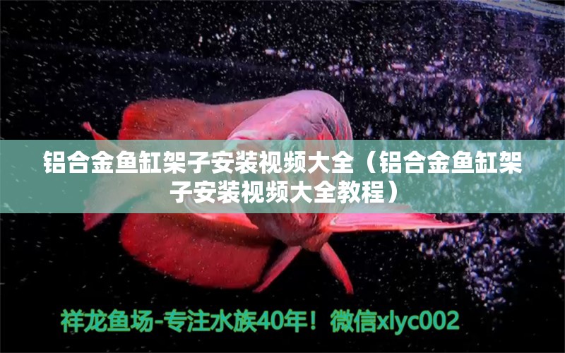 鋁合金魚缸架子安裝視頻大全（鋁合金魚缸架子安裝視頻大全教程）