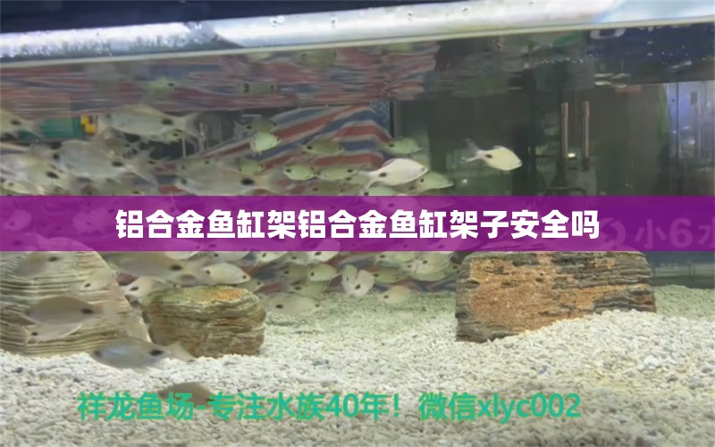 鋁合金魚缸架鋁合金魚缸架子安全嗎 溫控設(shè)備